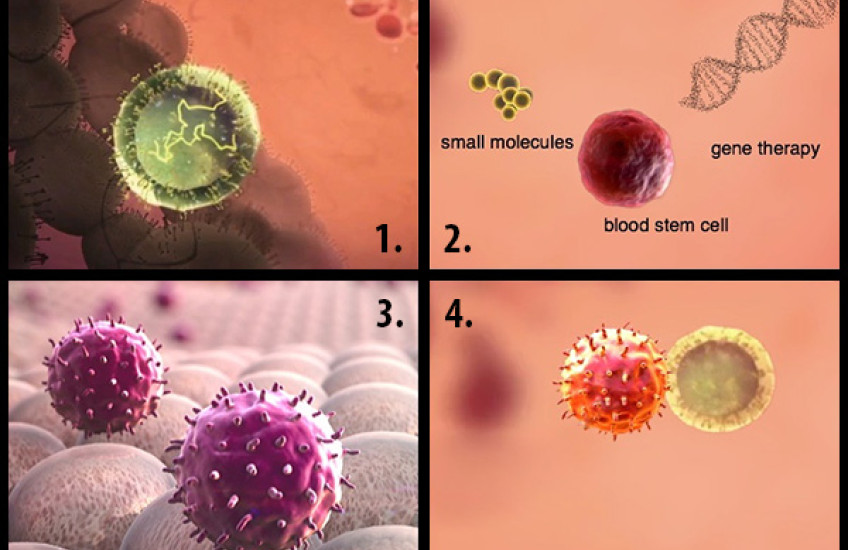 A Step Toward Diabetes Immunotherapy
