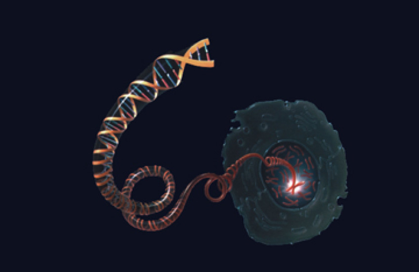 A Crisper Version of CRISPR