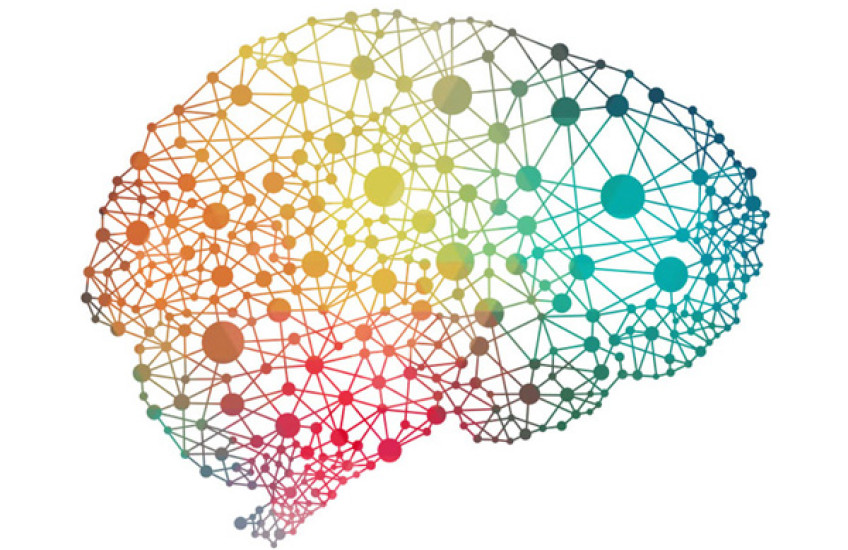 Diverging Cancer Paths