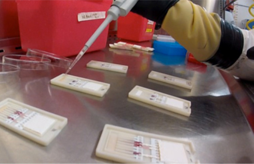 Paper Test for Ebola 