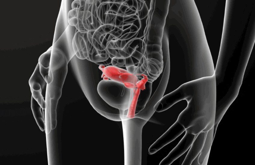 HIV and the Microbiome