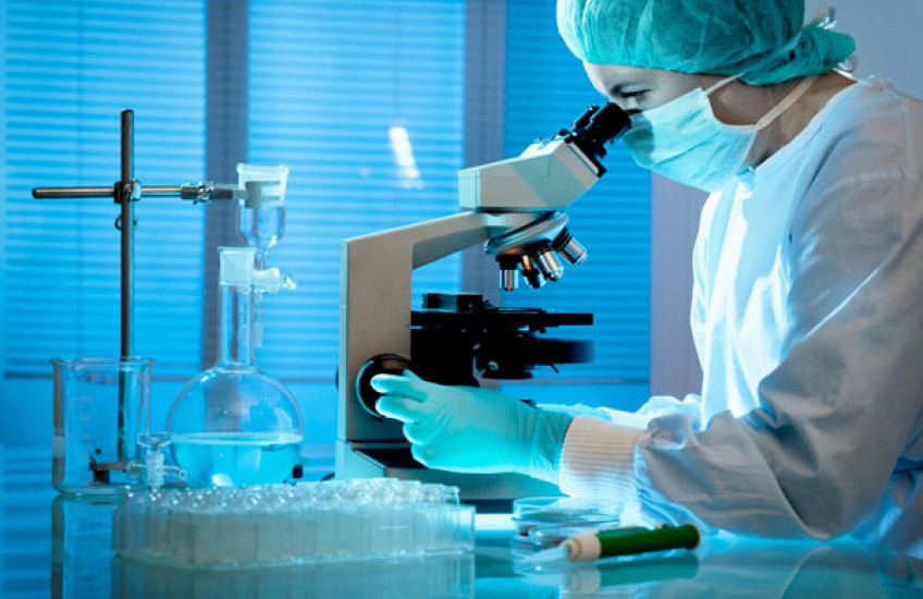 Foundation Funds Awards Accepting Applications