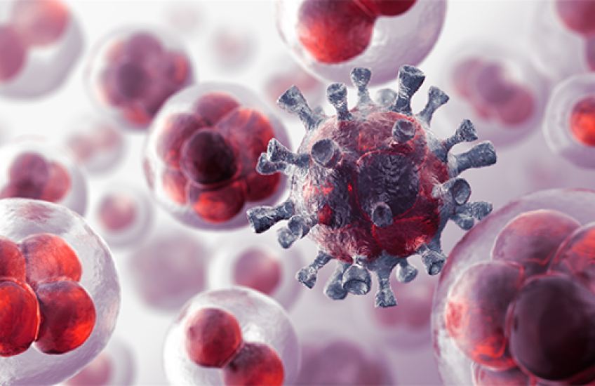 Staving Off Stem Cell Cancer Risk