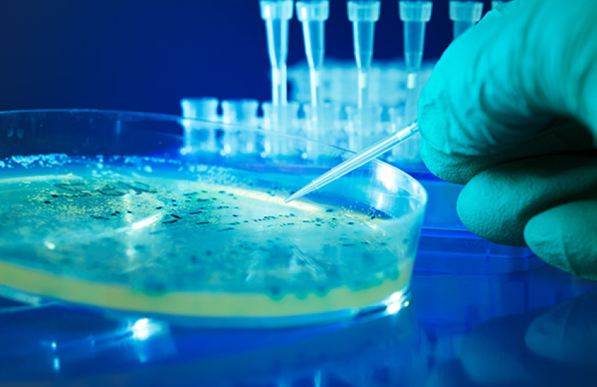 Microbial Murder Mystery Solved