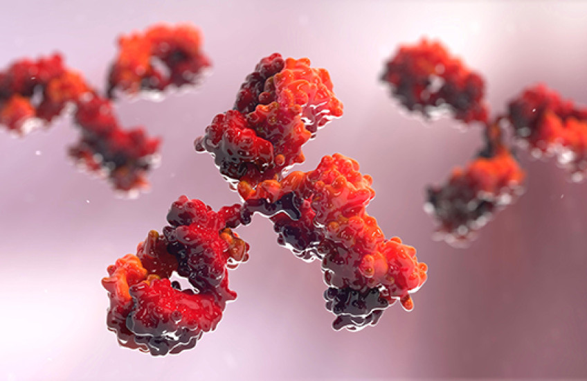Amping Up Antibodies