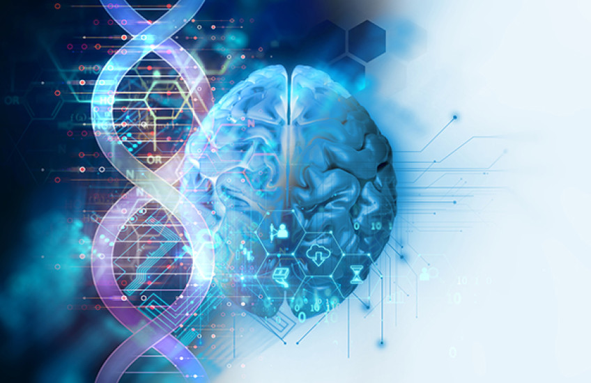 Decoding Brain Evolution