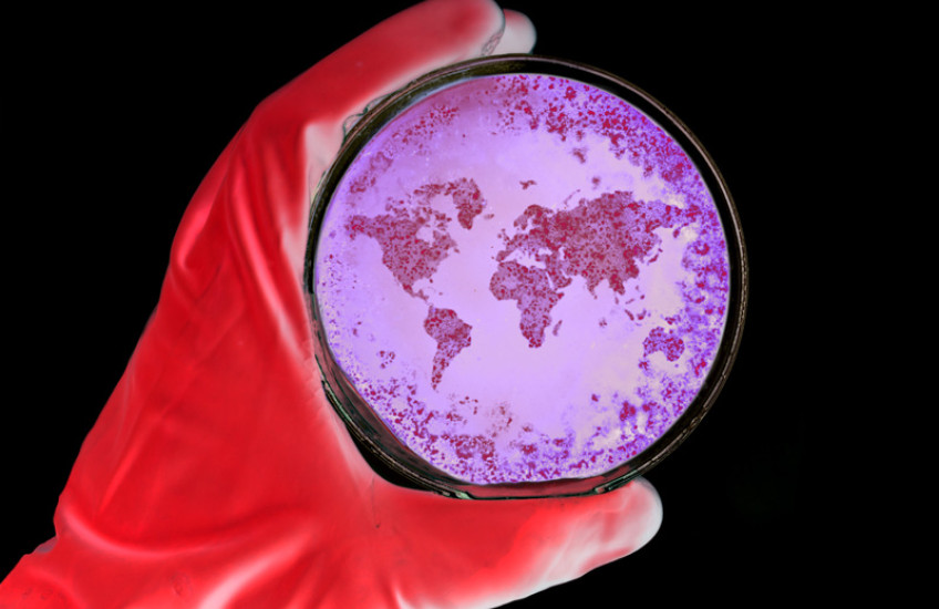 Global Health, Global Security