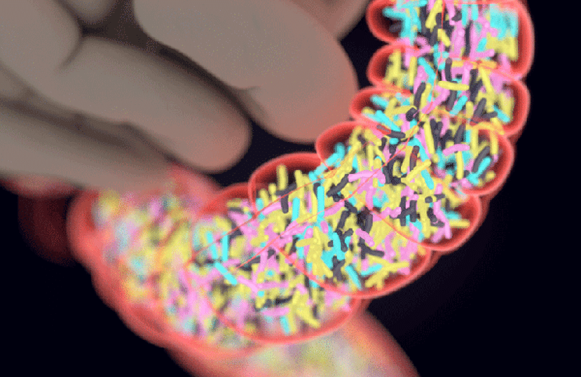 Protecting the Guardians