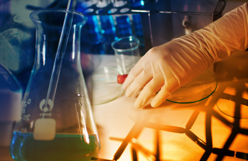 HMS Students Receive HHMI Fellowships