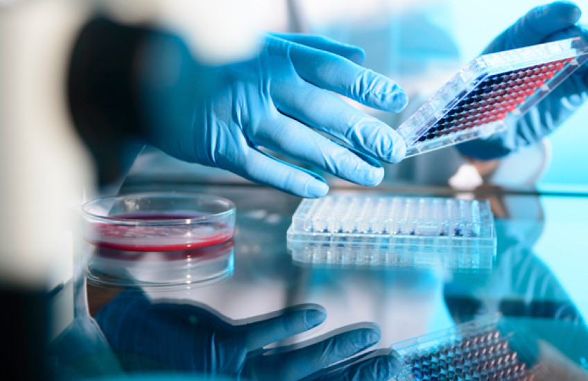 2016 HHMI Fellows Named