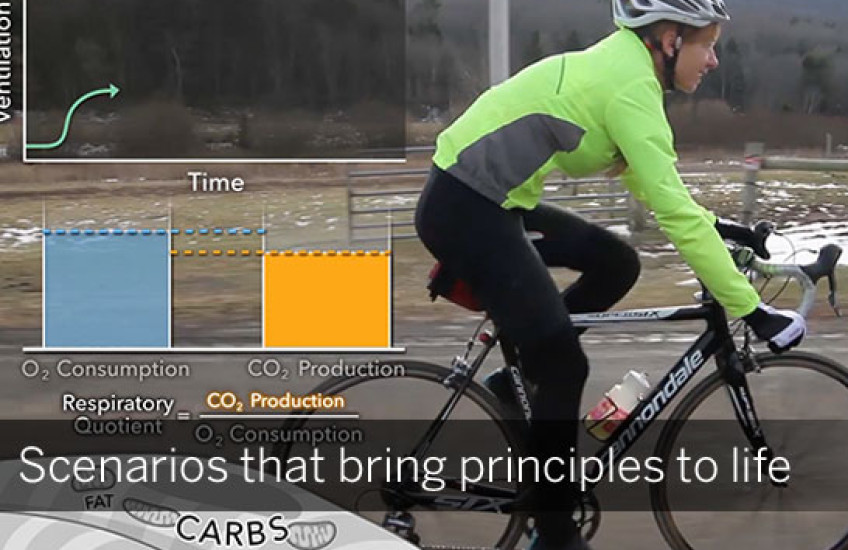 Med School Head Start