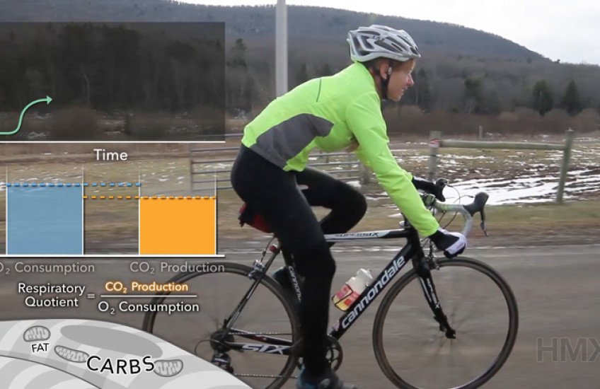 Online Pilot Takes Off