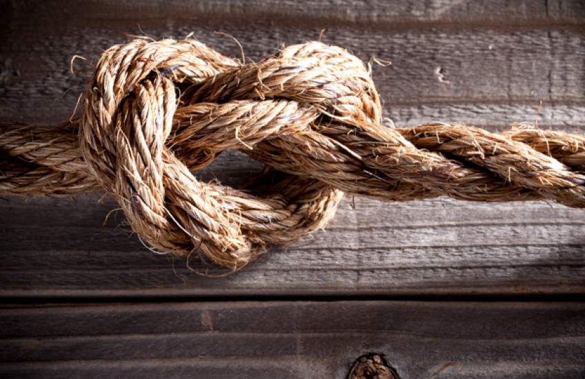 Straight to the Heart