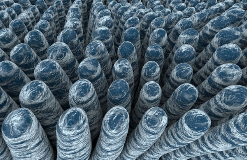 Variations on an Enzyme