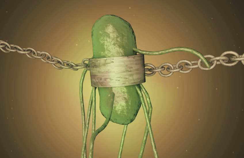 Biological safety lock for genetically modified organisms 