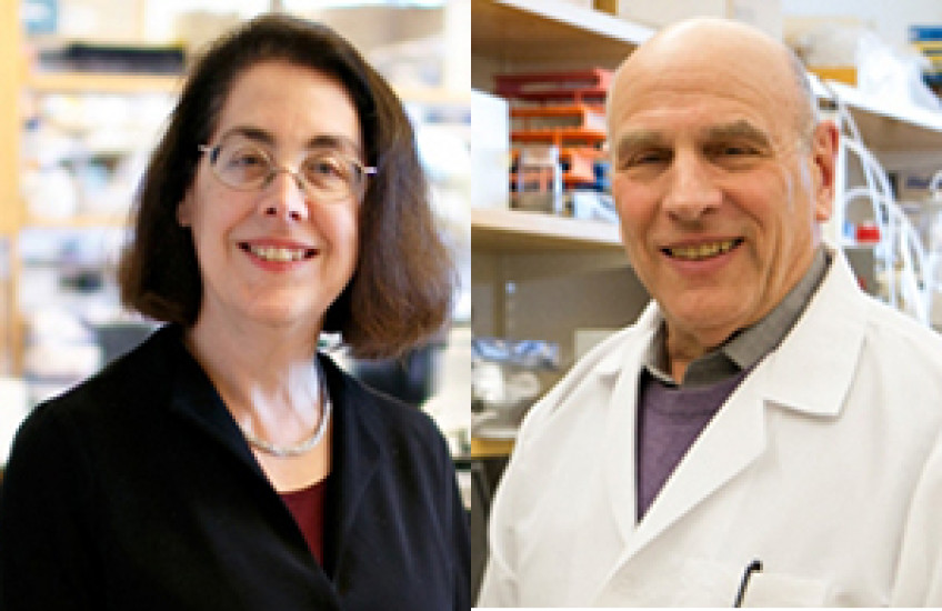 4 HMS Faculty Elected to NAS