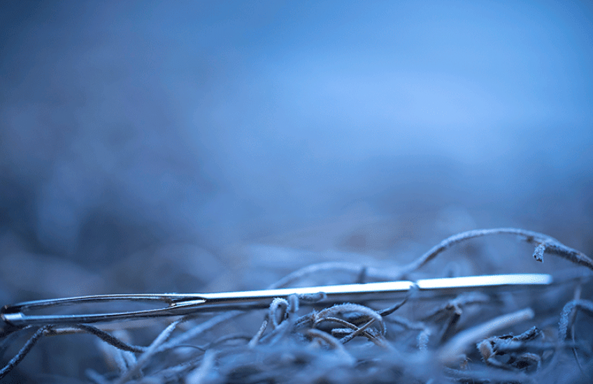 Needle in a Haystack