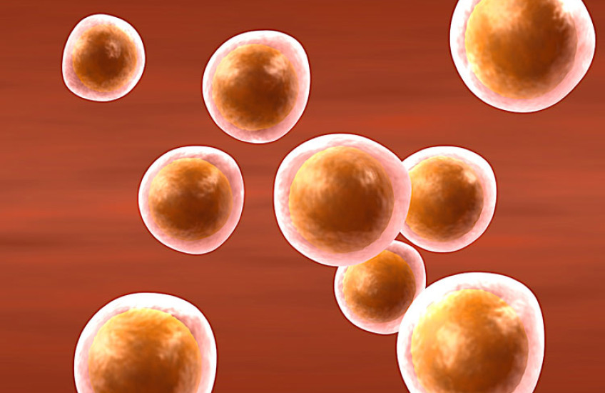 The Promise and Peril of Emerging Reproductive Technologies