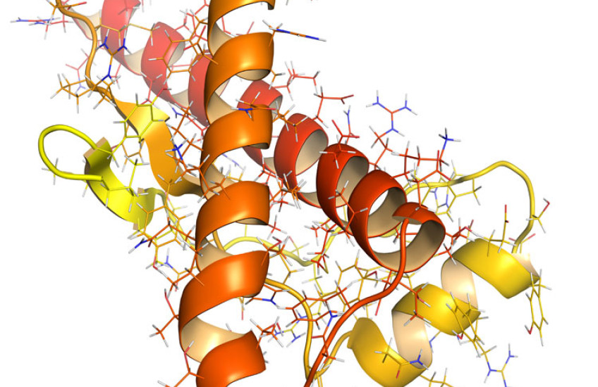 New Trick Up Their Sleeve