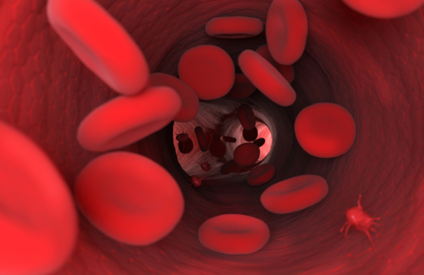 Make Way for Hemoglobin