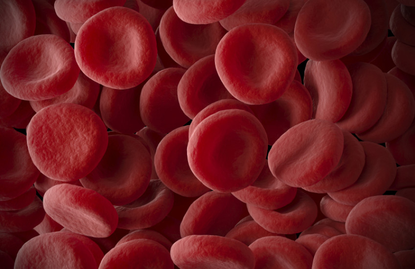 Blood Work
