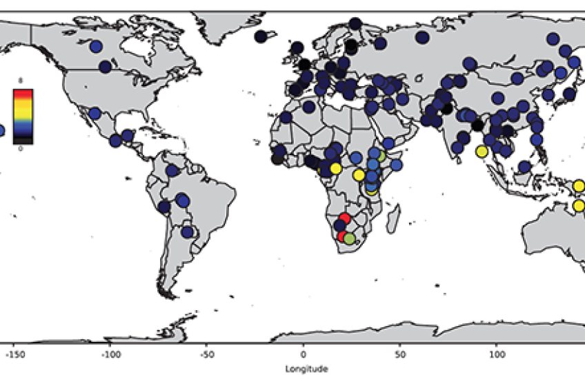A Diversity of Genomes