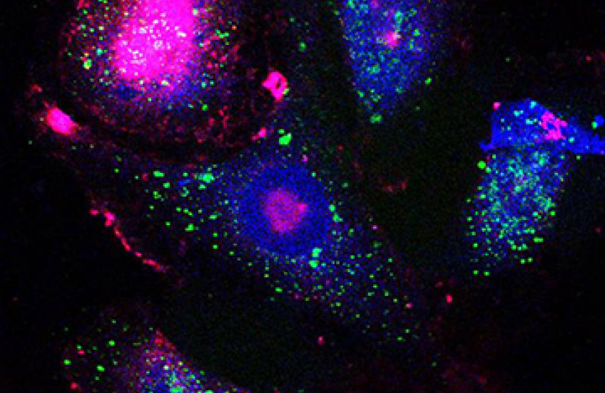 Hit 'Em When They're Down 