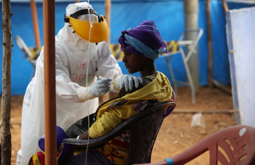 Bedside Ebola Diagnostic 