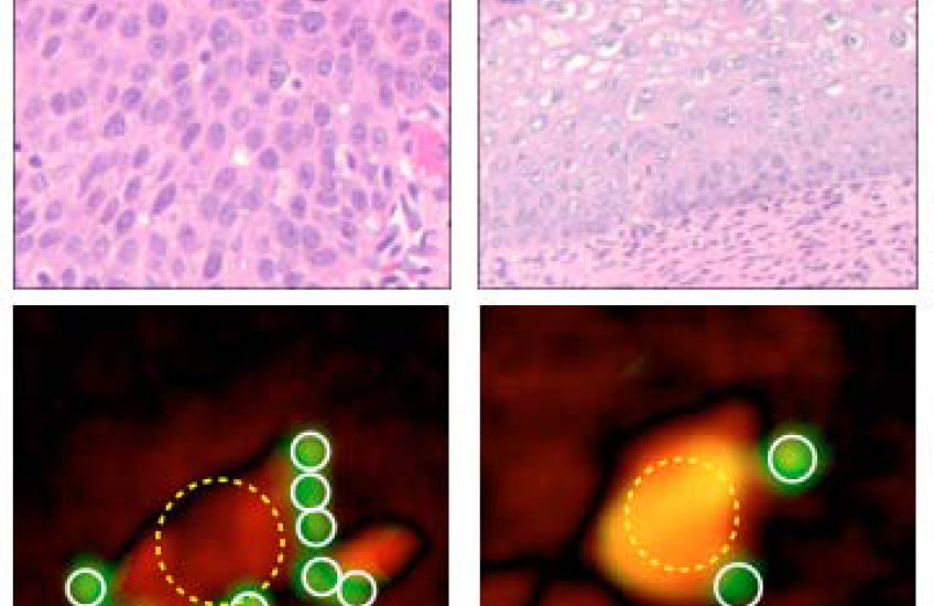 Faster, Cheaper Testing