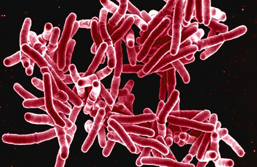 $19.5 Million TB Grant