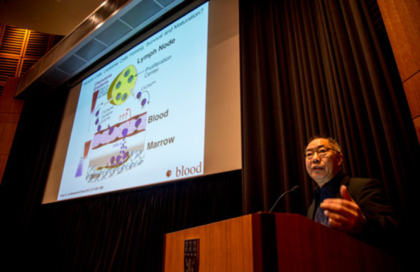 Meeting the Challenge of Cancer Resistance