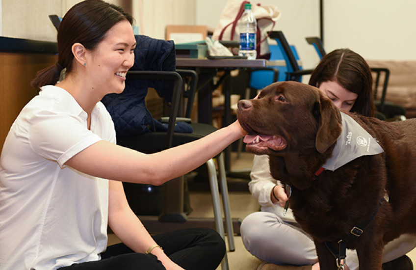 De-Stressing with Therapy Dogs 
