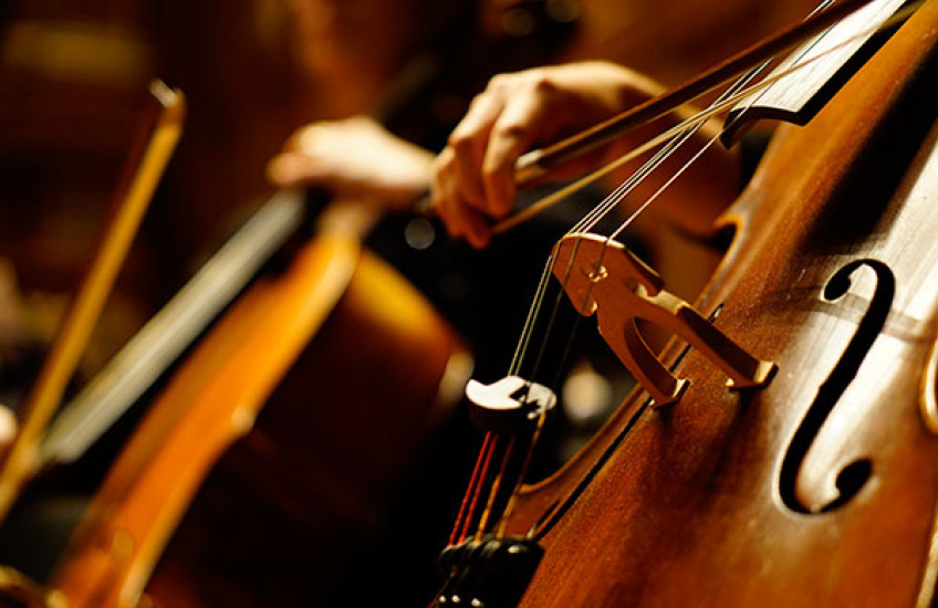 The Arts and Medicine 