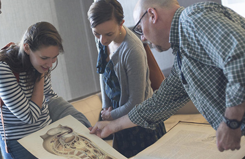 Glimpsing the Anatomical Past