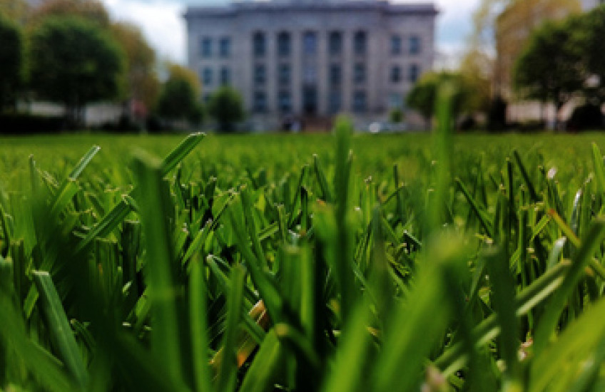 Announcing the 2015 Longwood Summer Music Series