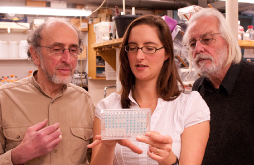 Novel Blood Thinners, Antibiotics Clued by Bacteria