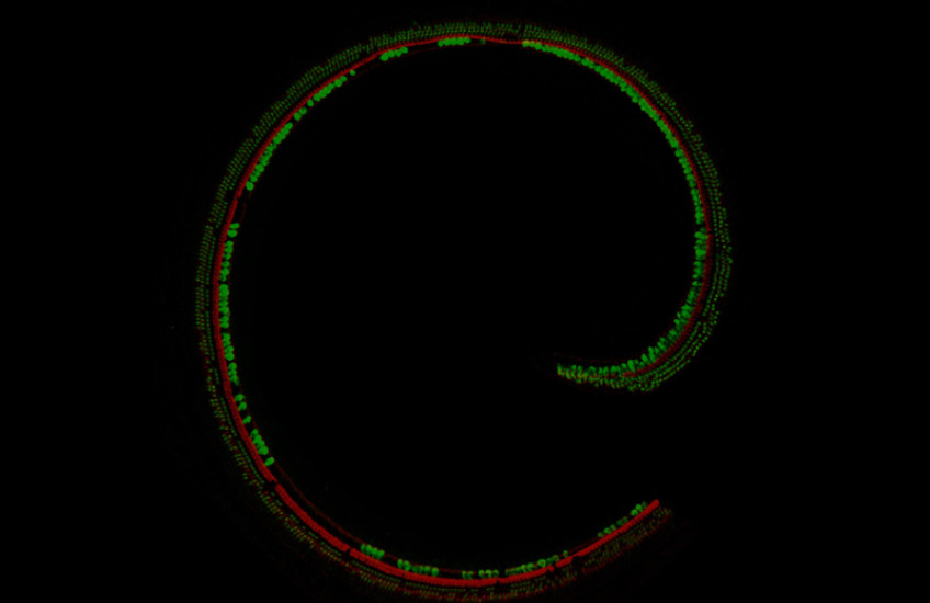 From Concept to Clinic