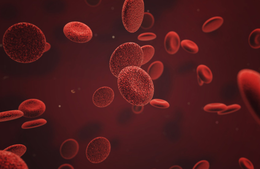 Blood Balance