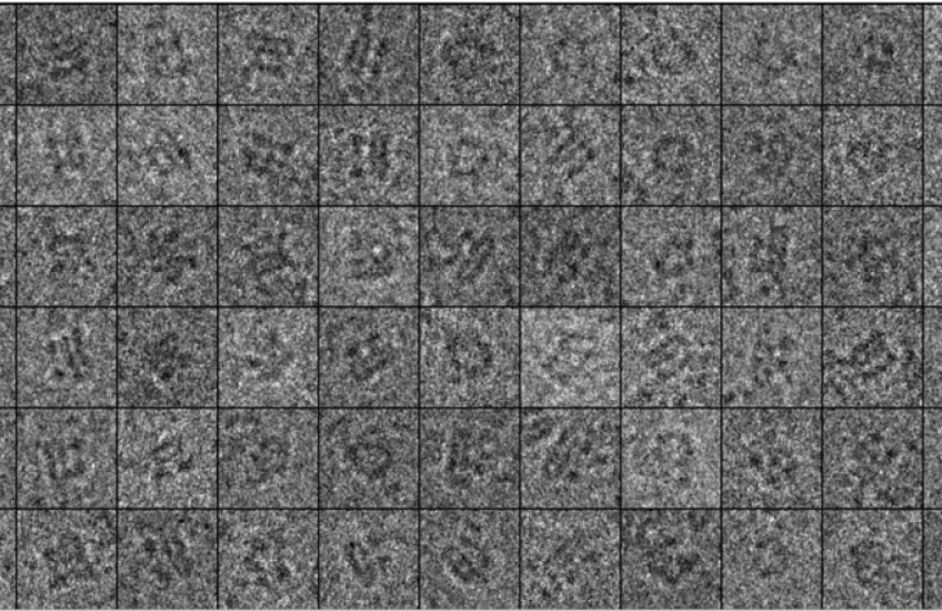 The Future of Molecular Visualization