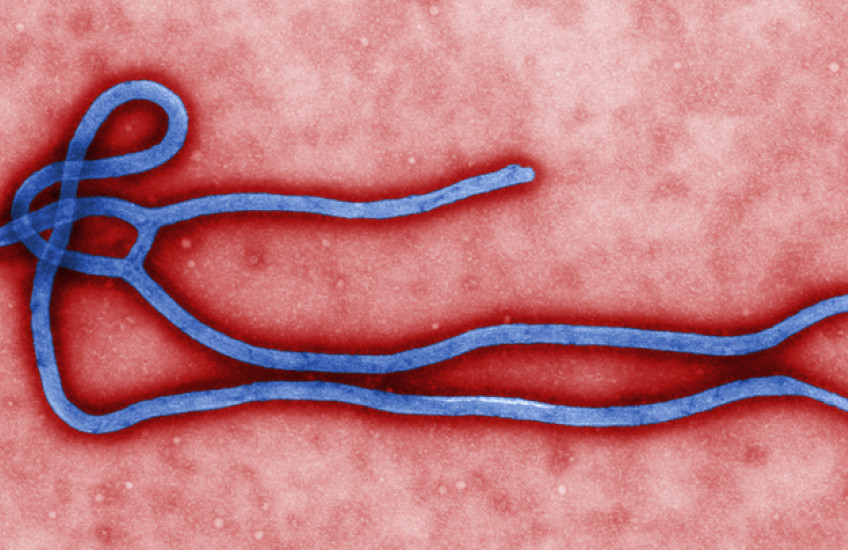Assessing Ebola Risk