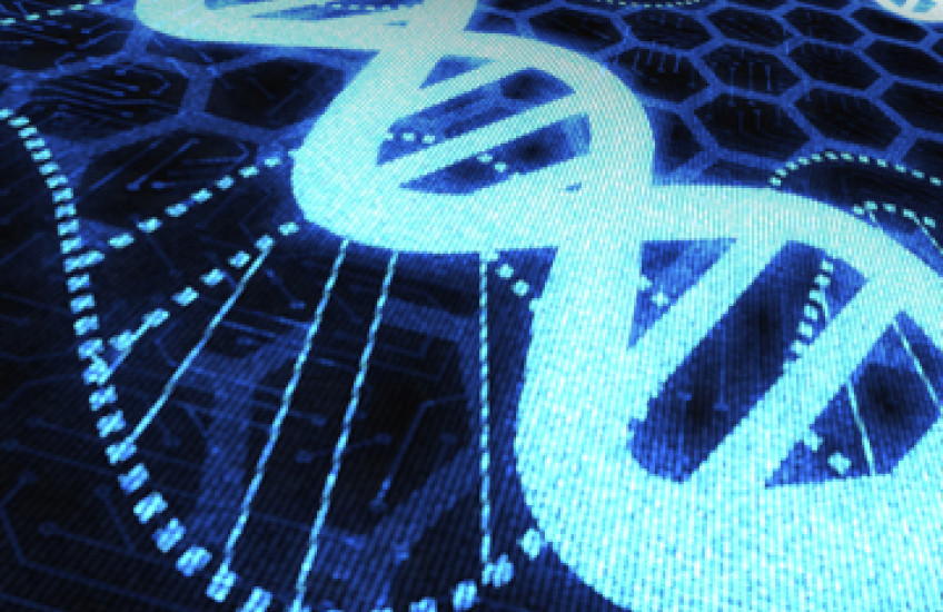 Limitation of Statutes