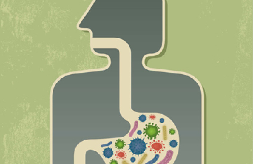 Altered Gut Microbes Key to Bypass Success