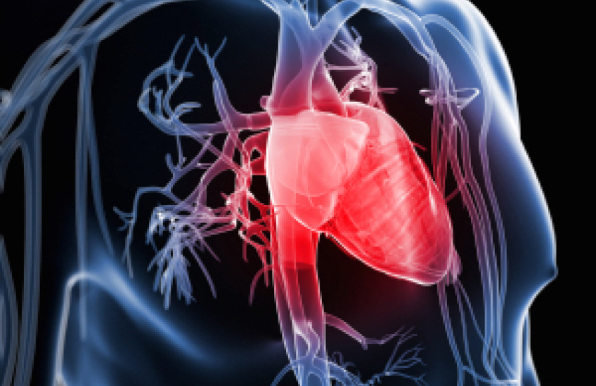 Gene for Mitral Valve Prolapse