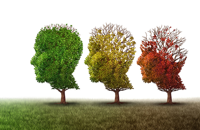 Introducing the Genosenium