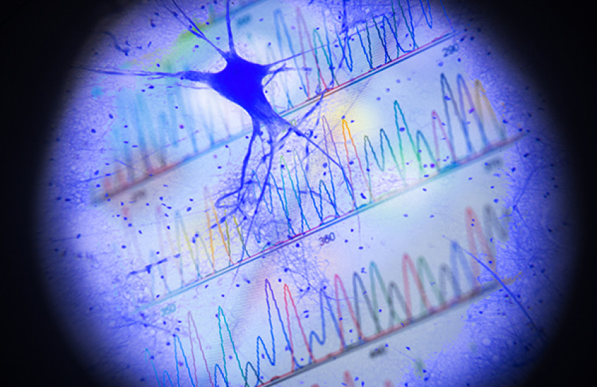The Written History of a Neuron