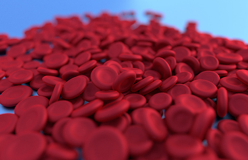 New Role for Ribosomes