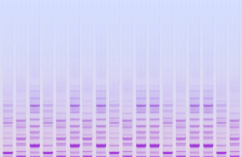 'Window of Vulnerability'