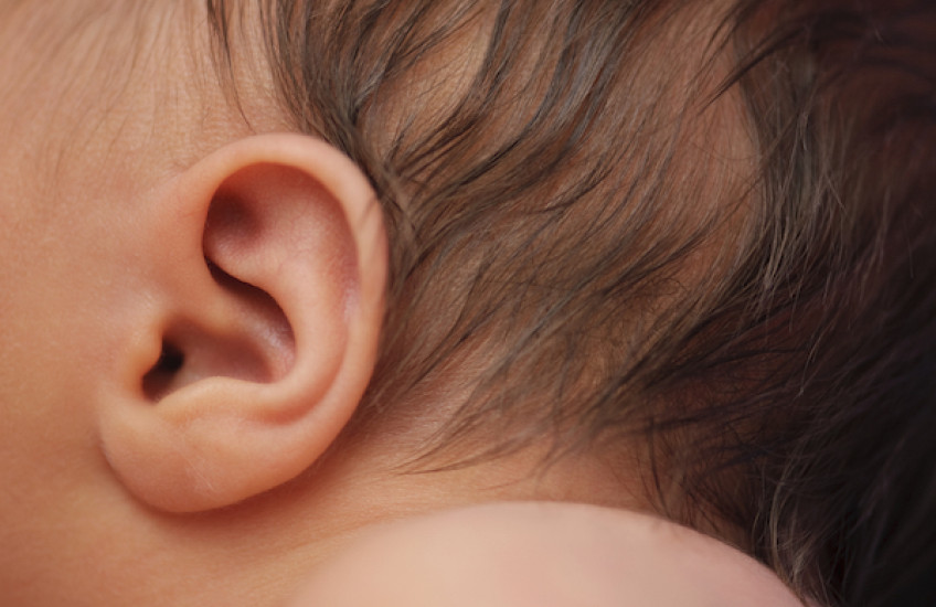 Gene therapy restores hearing in deaf mice