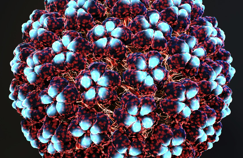 HPV Vaccination Not Linked to Riskier Sex