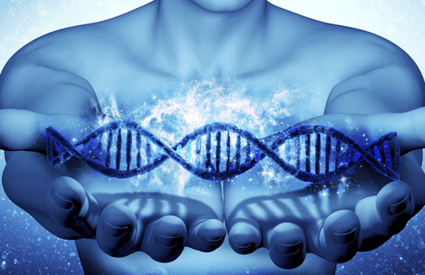 Understanding Your Genome